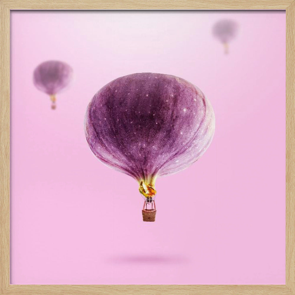 Feigenballons | Poster - Kunstdruck