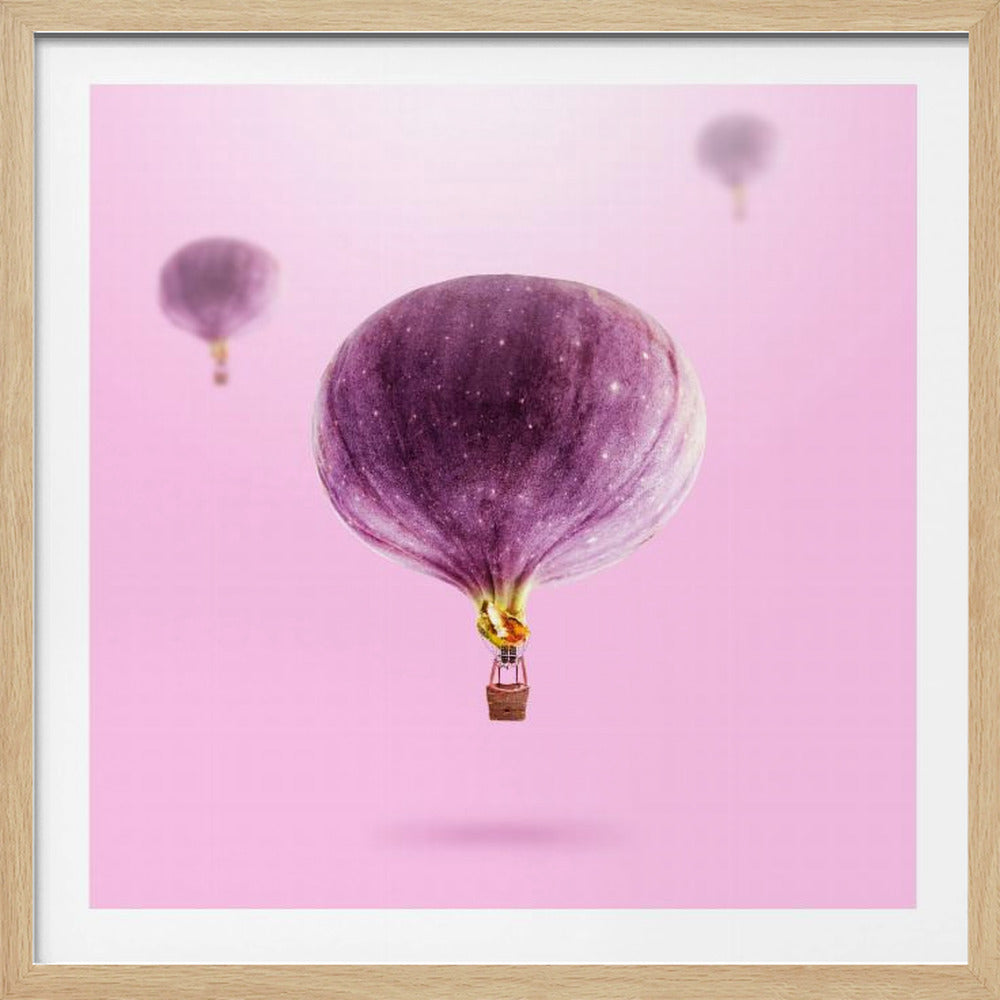 Feigenballons | Poster - Kunstdruck
