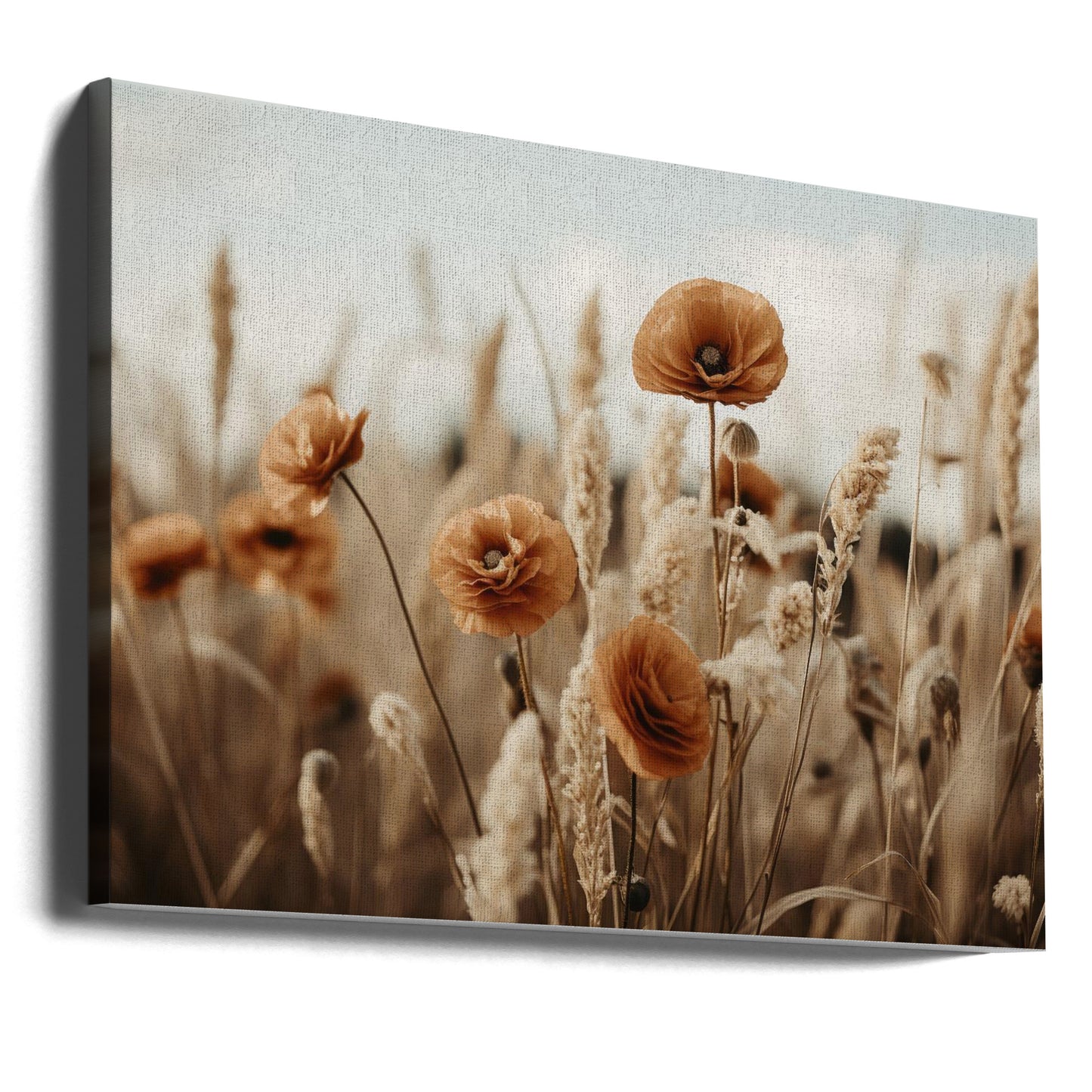 Orange Poppy Field | Canvas