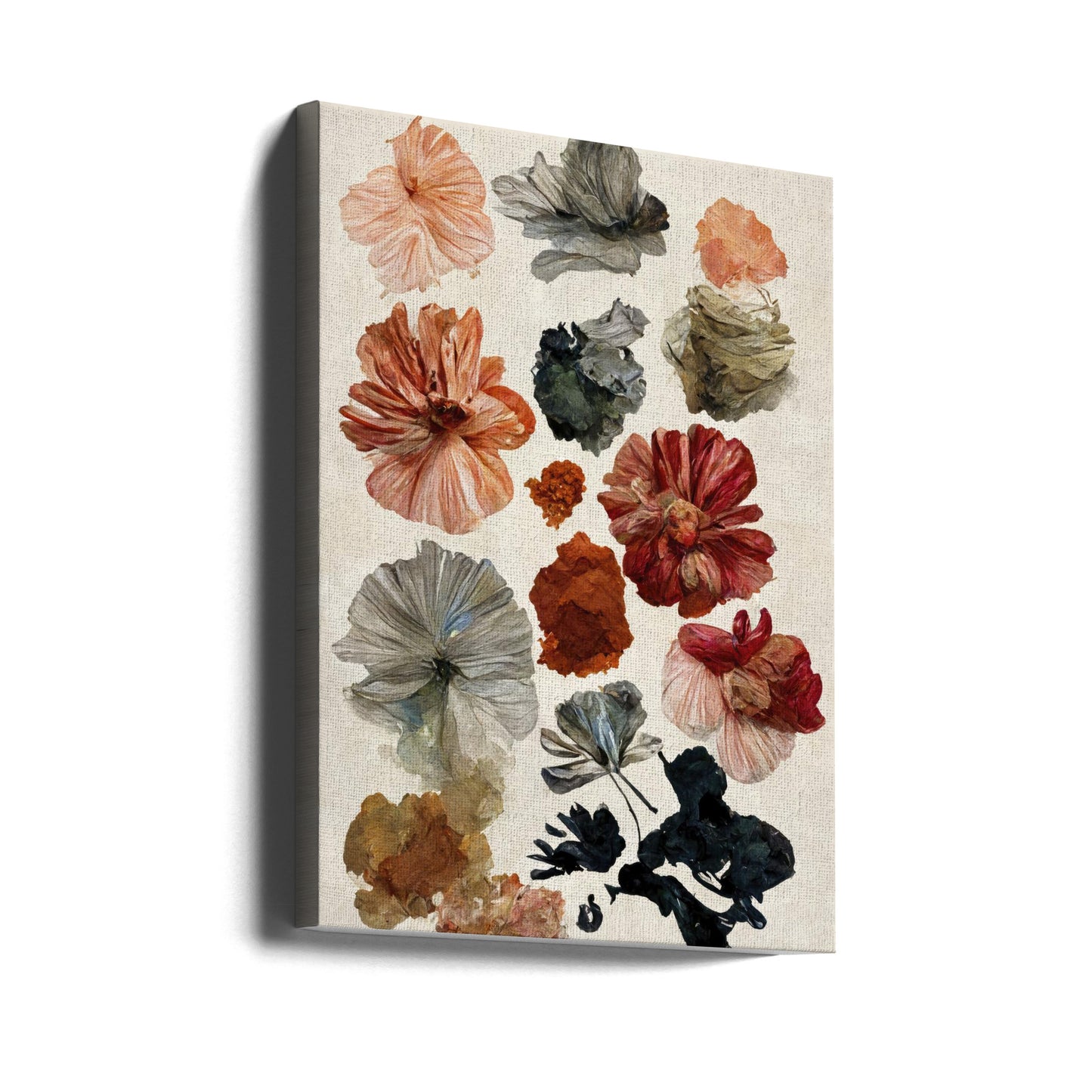Collection de fleurs séchées | Tableaux sur Toile