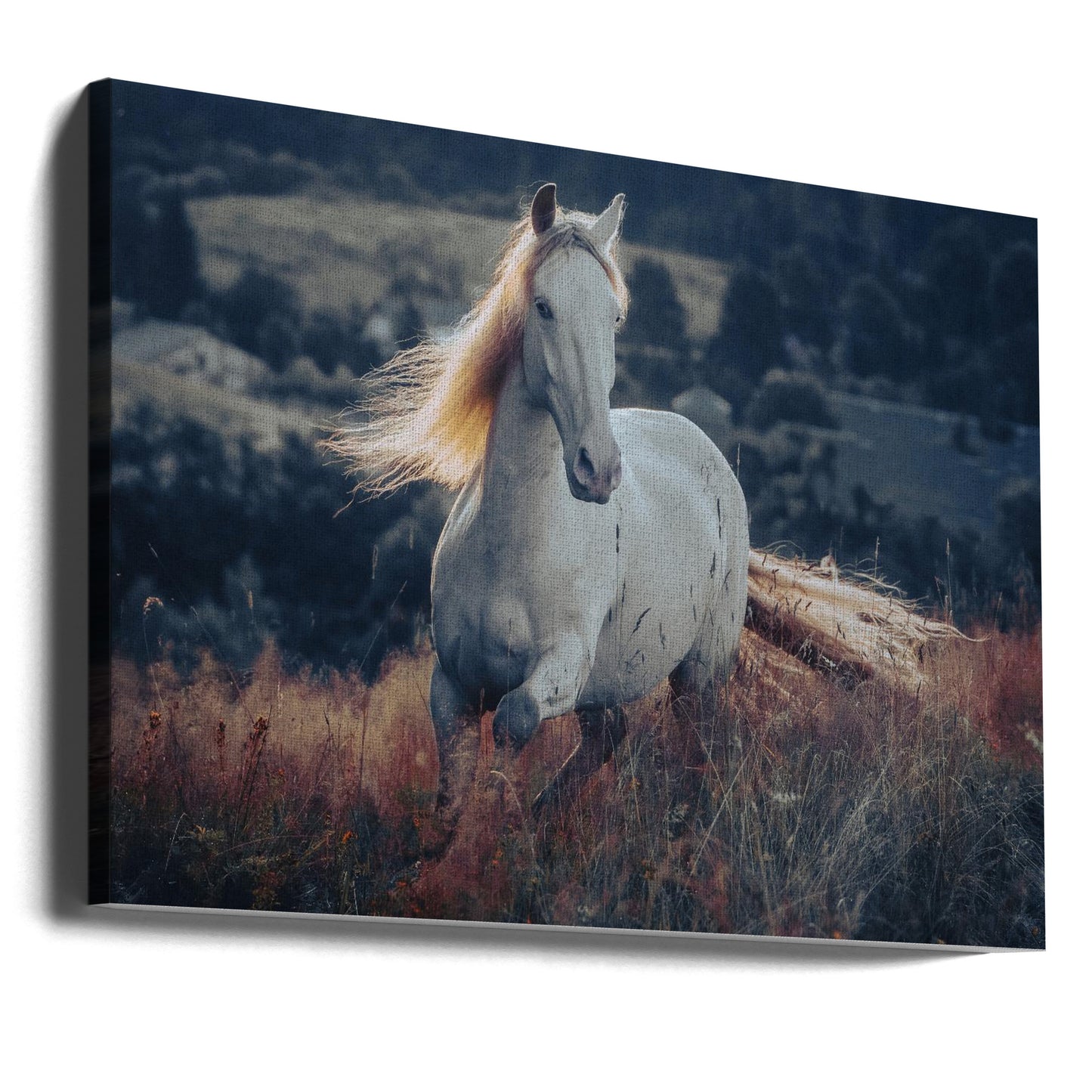 a short story about sunrise | Canvas