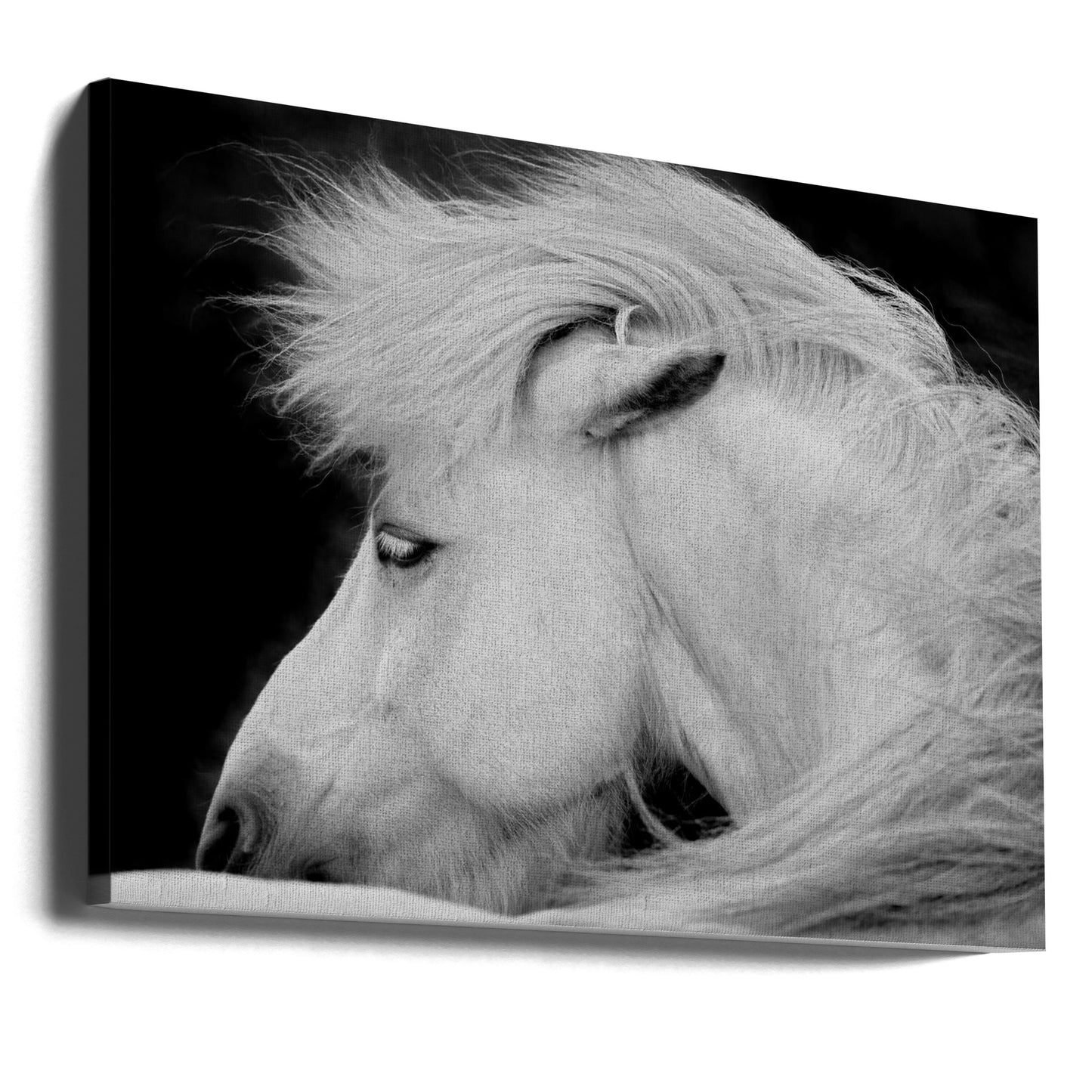 Listen to the Wind | Canvas
