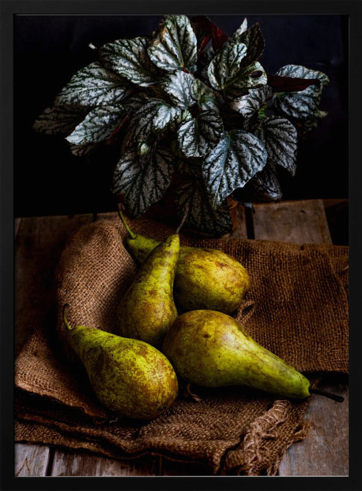 pears | Poster