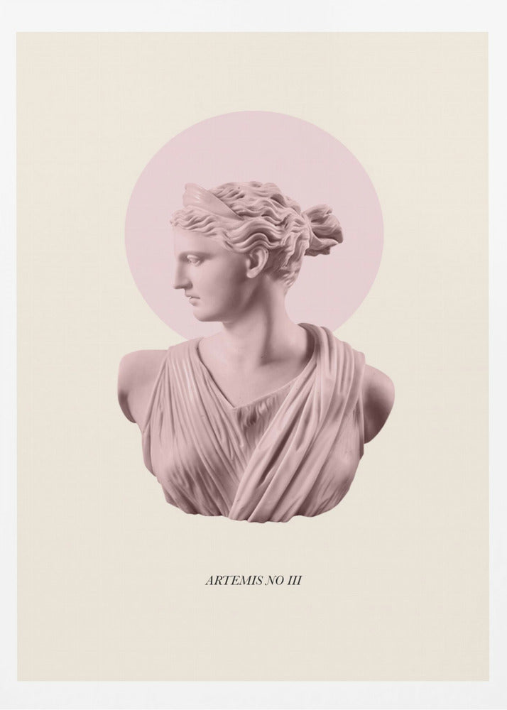 Rosa Artemis med gloria | Poster