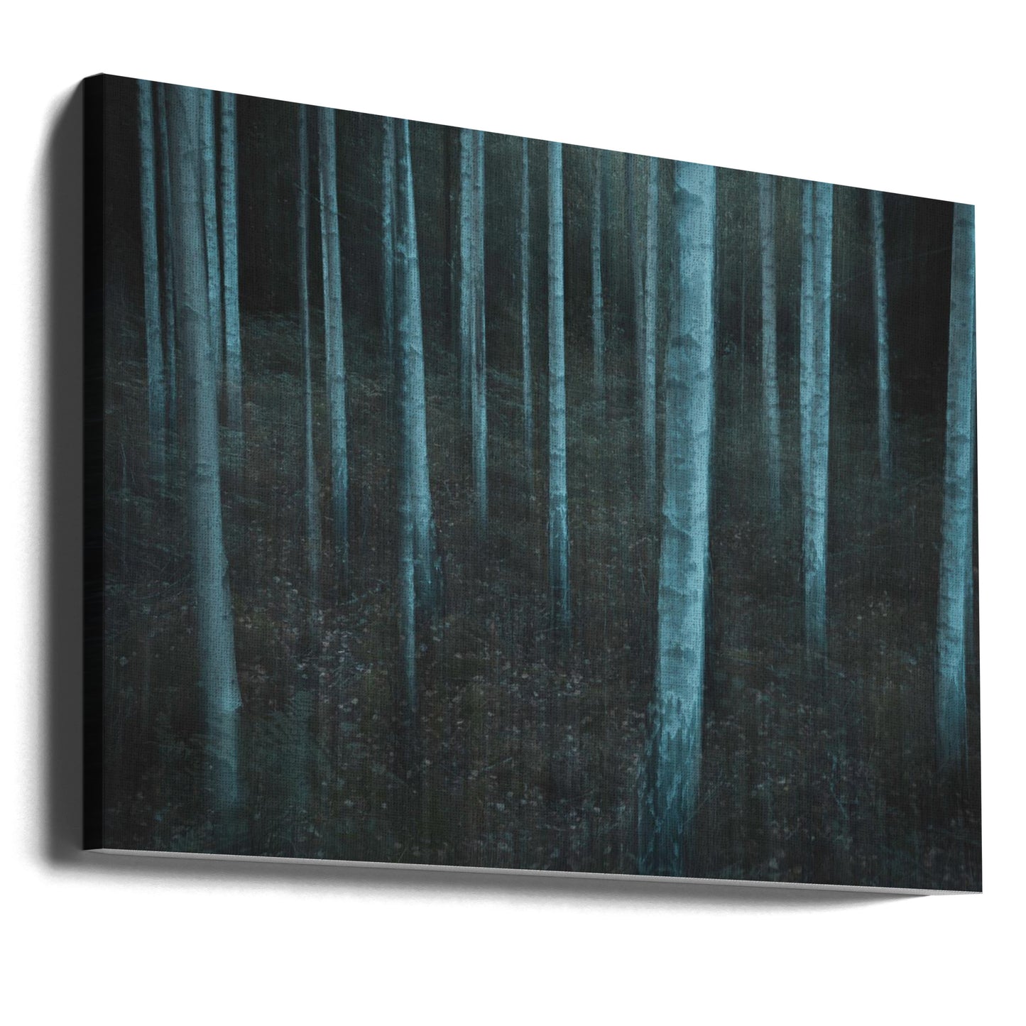 ICM v3 | Canvas