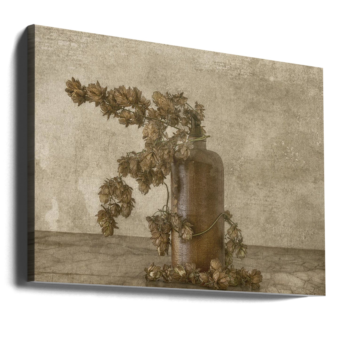 Common Hop 2 | Canvas