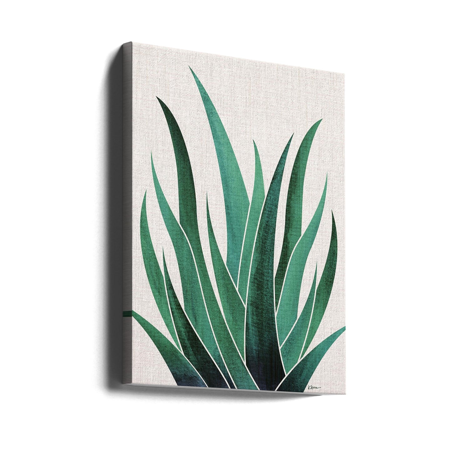 Desert Agave Cactus | Canvas