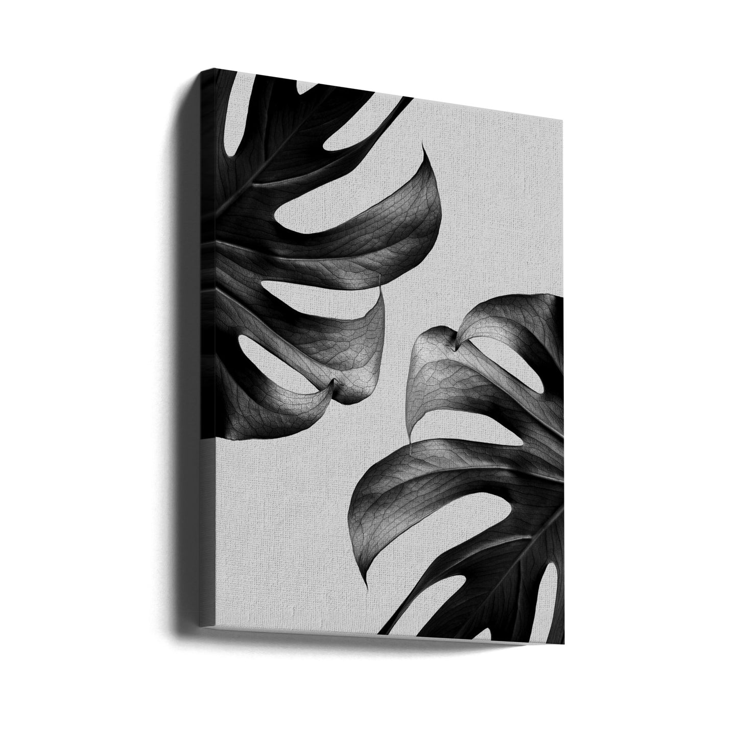 Mostera monocromatica Poster - Stampe d’Arte | Stampe su Tela