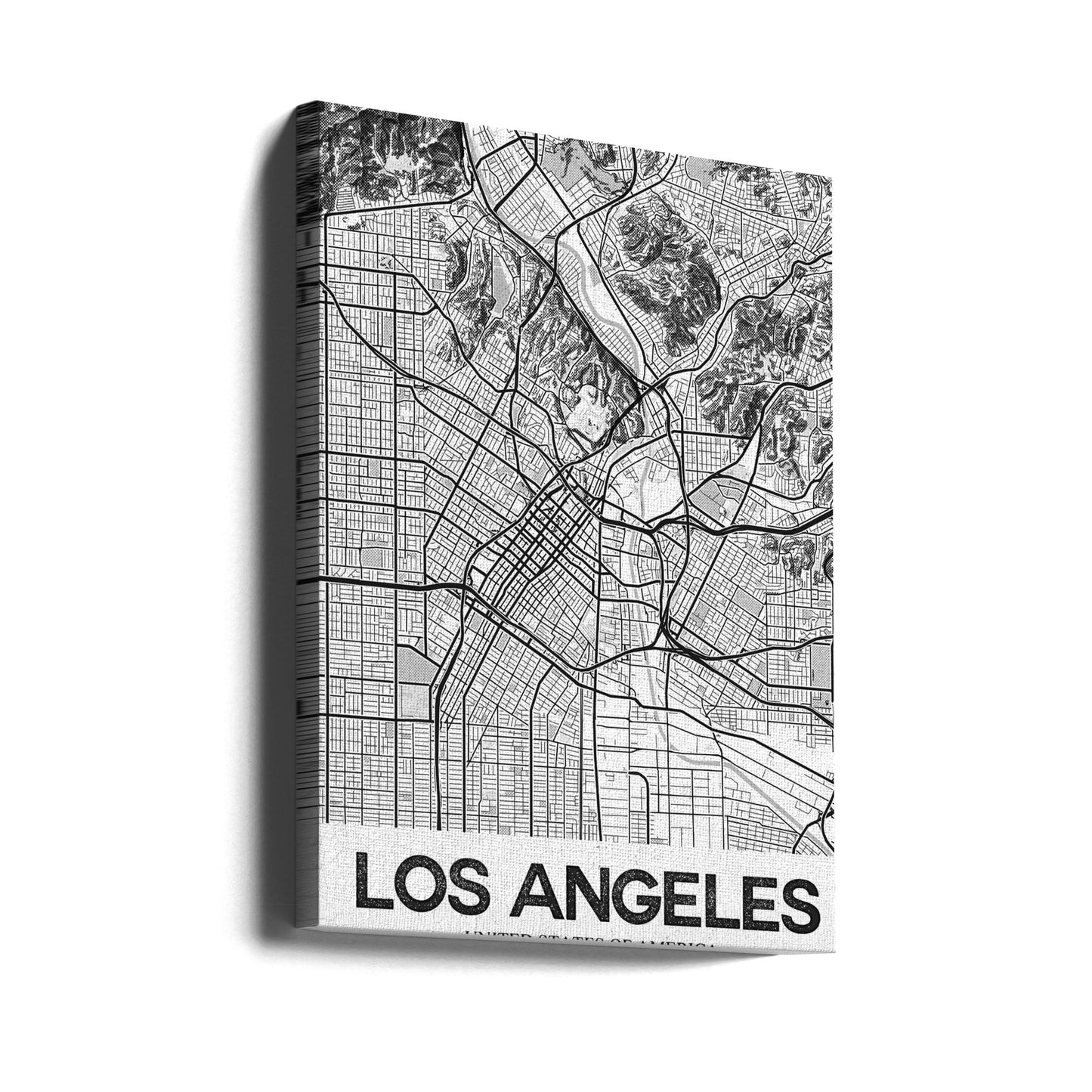 Los Angeles Vit | Canvas