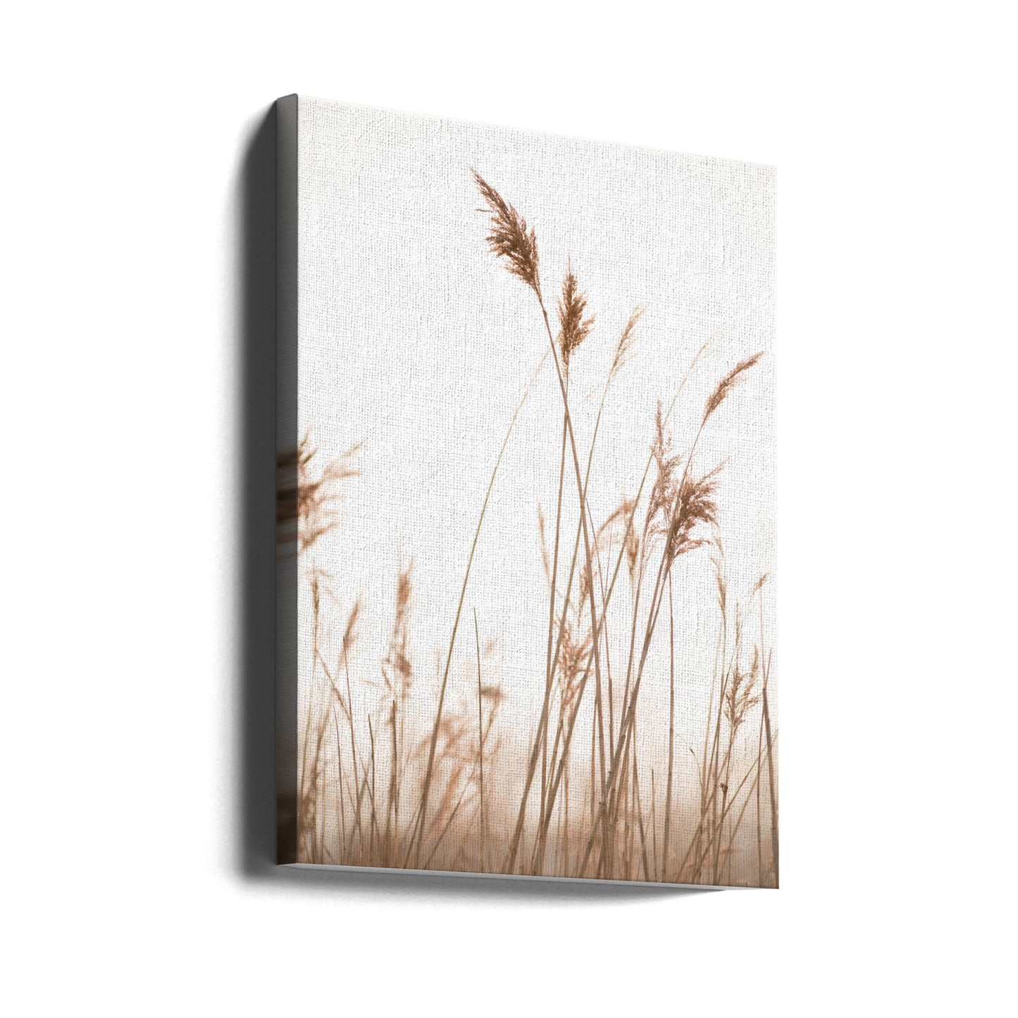 Kärrgräs nr 6 | Canvas