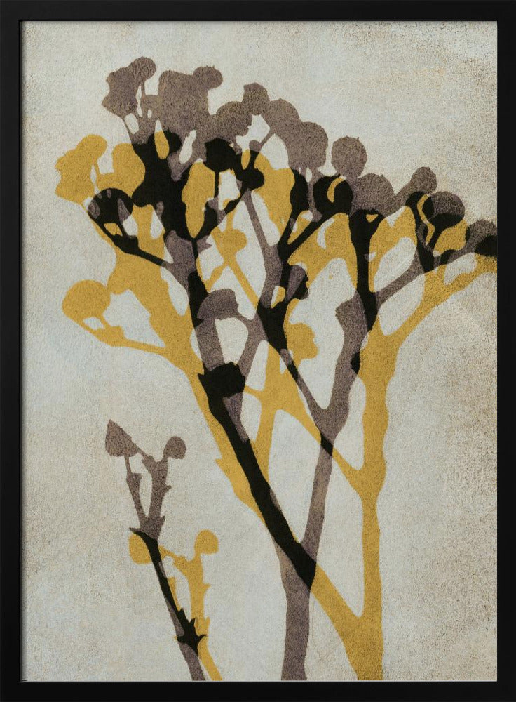 Ekon av Gypsophila | Poster