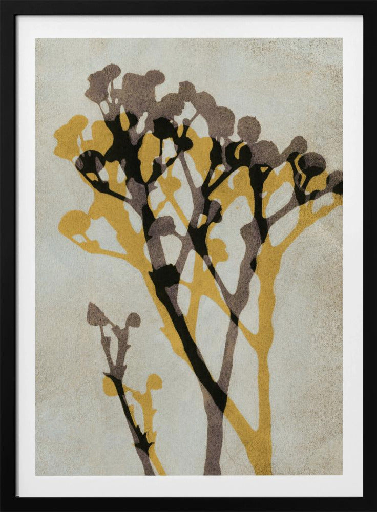 Ekon av Gypsophila | Poster