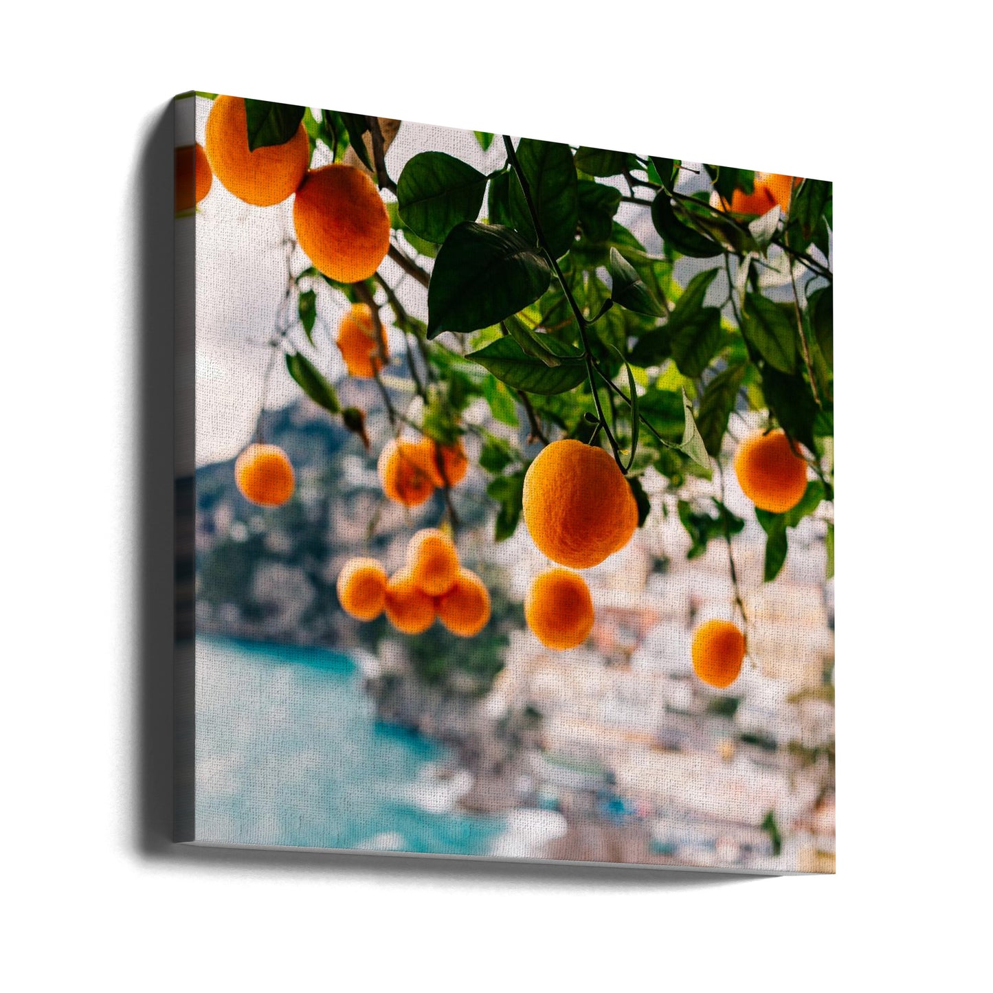 Amalfikustens apelsiner | Canvas