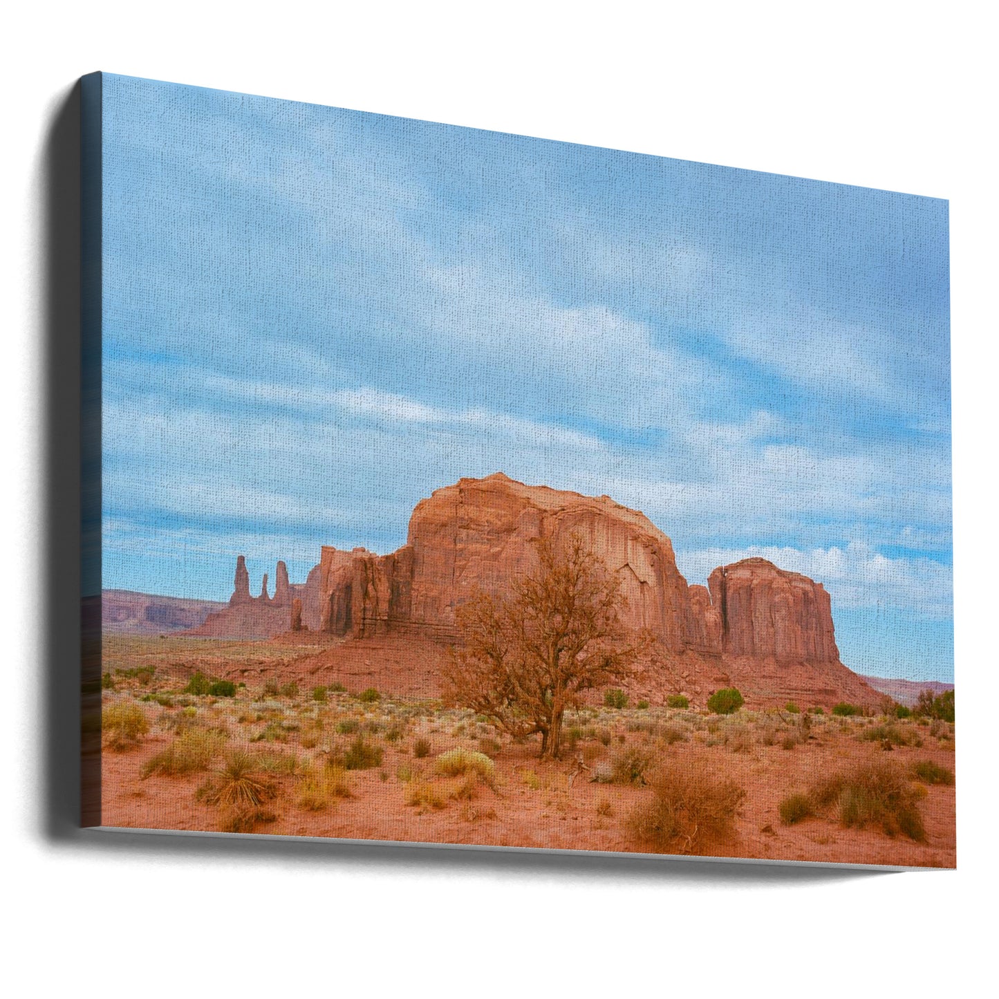 Monument Valley IX | Canvas