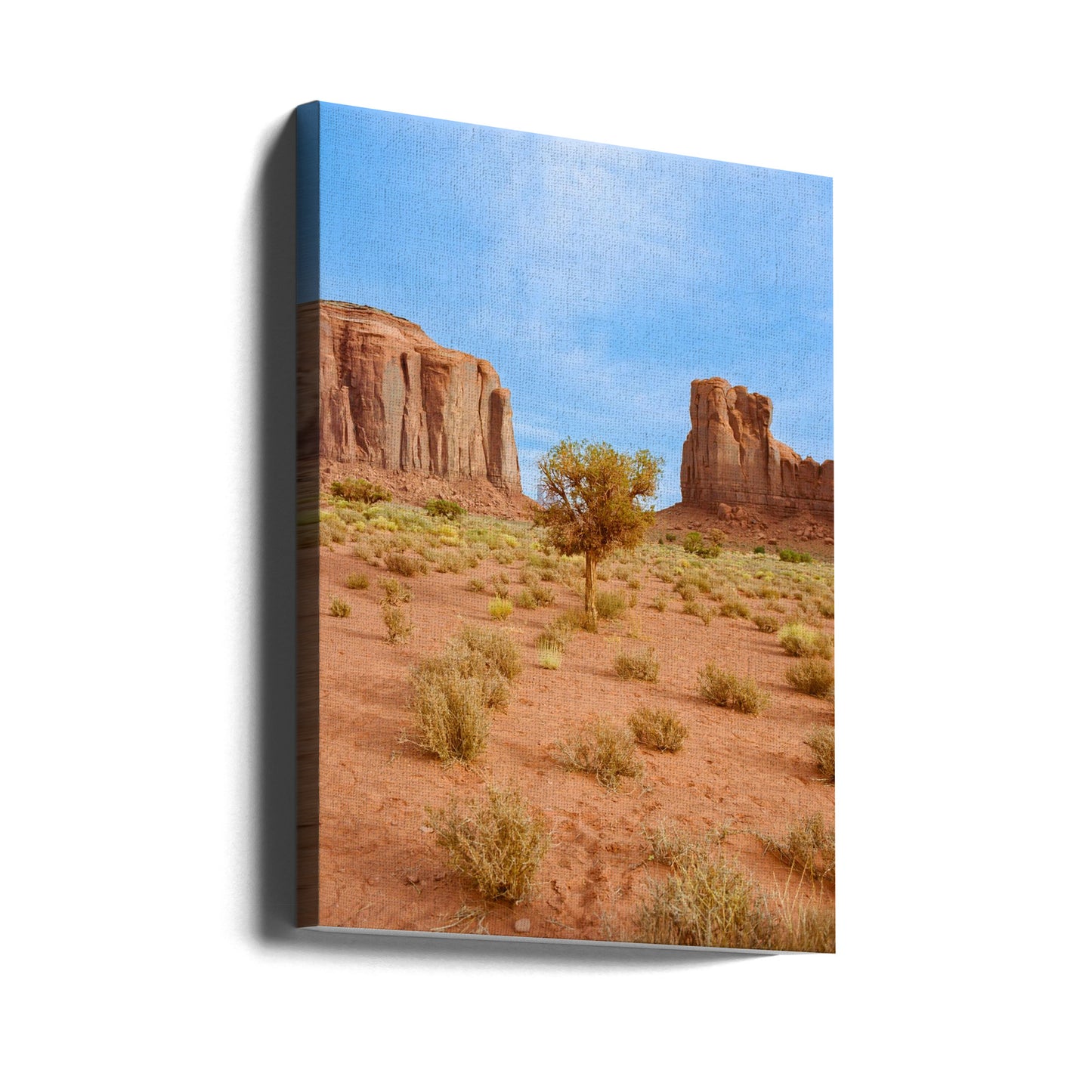Monument Valley X | Canvas