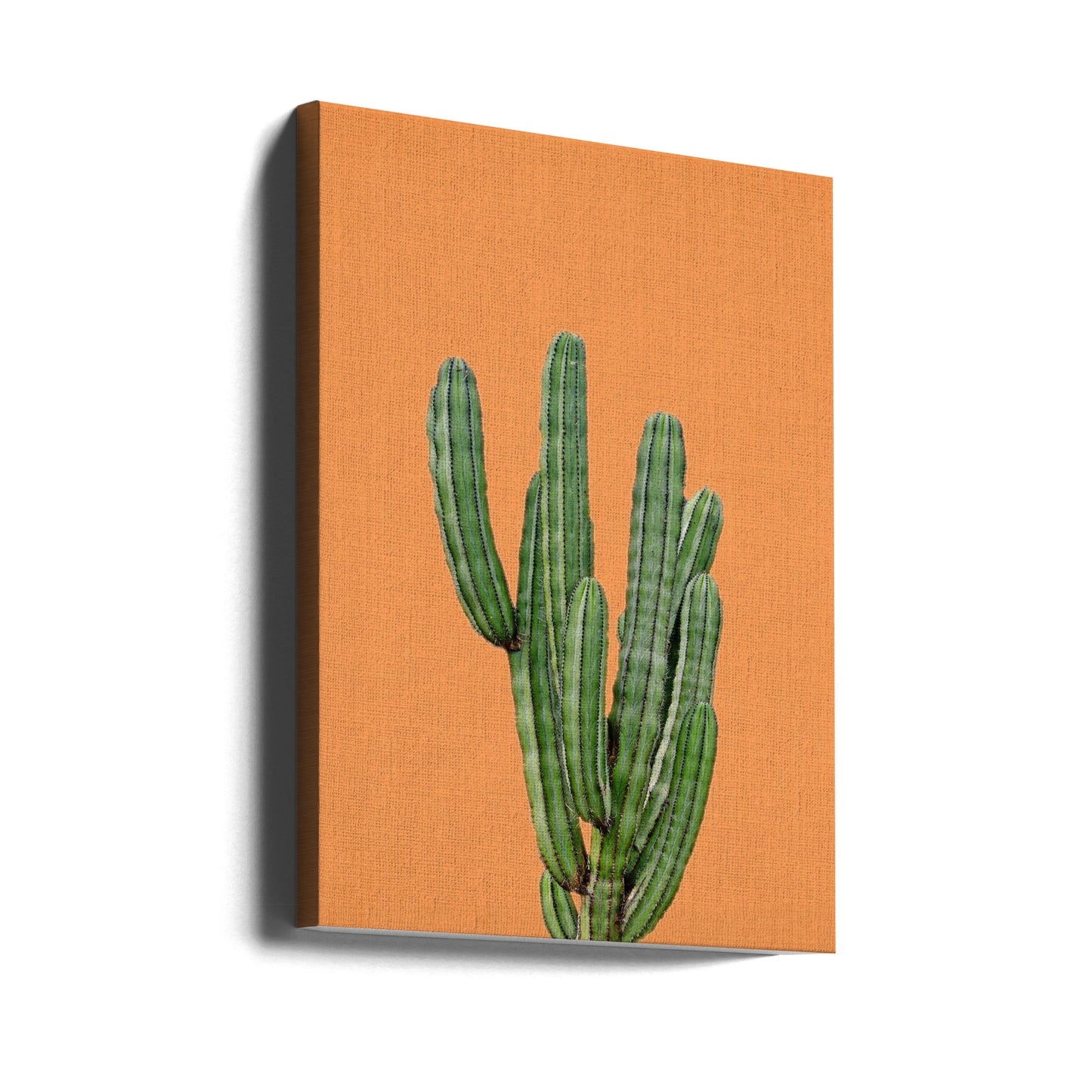 Orange Cactus | Canvas