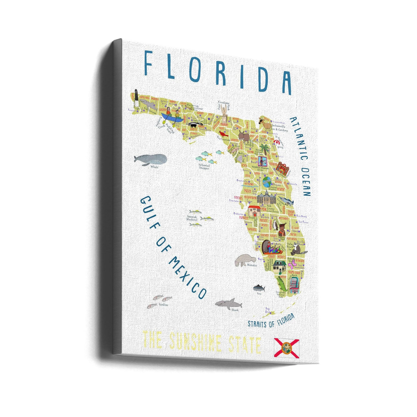 Mappa illustrata della Florida dell'artista Carla Daly | Stampe su Tela