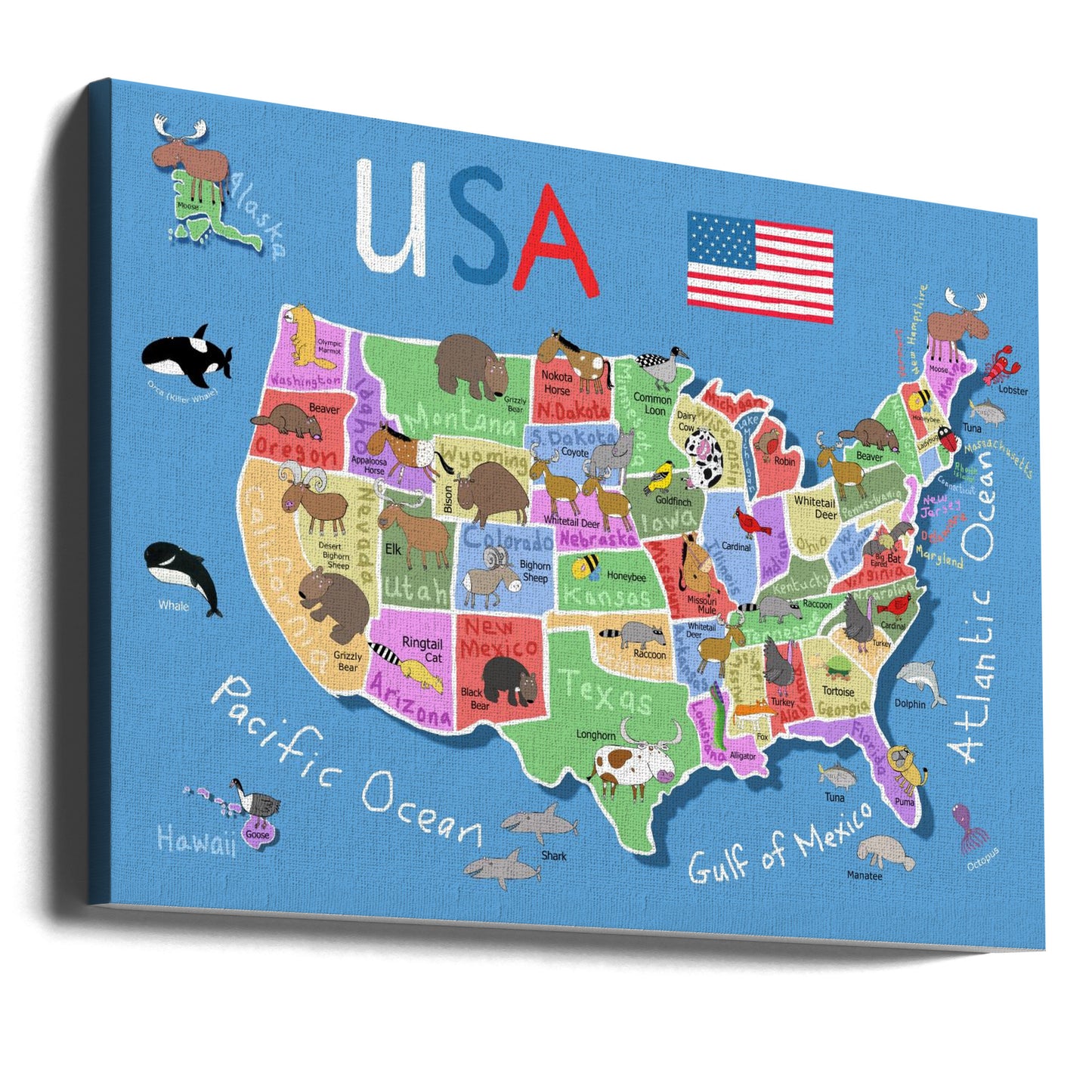 Illustrerad karta över Amerikas förenta stater av Carla Daly | Canvas