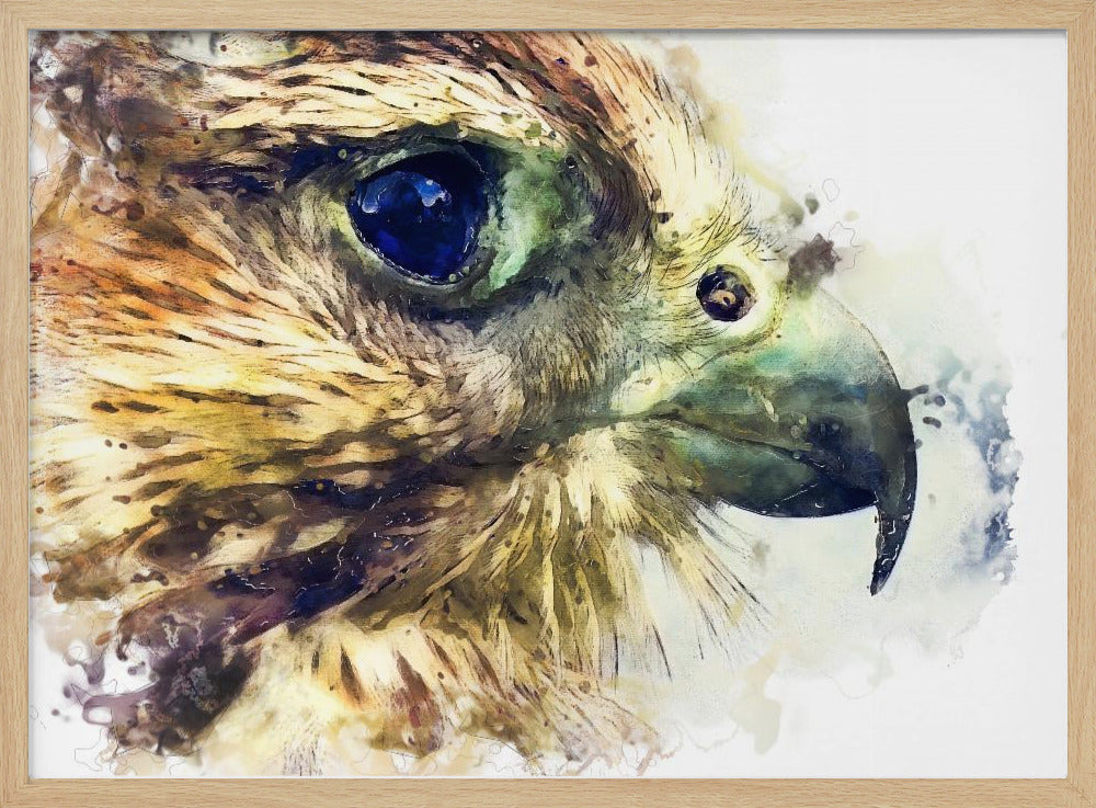 Tier Vogel Turmfalke Aquarell Tierkunst | Poster