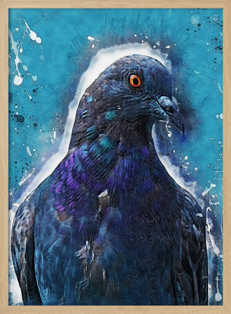 Tier Taube Vogel Aquarell Tierkunst | Poster