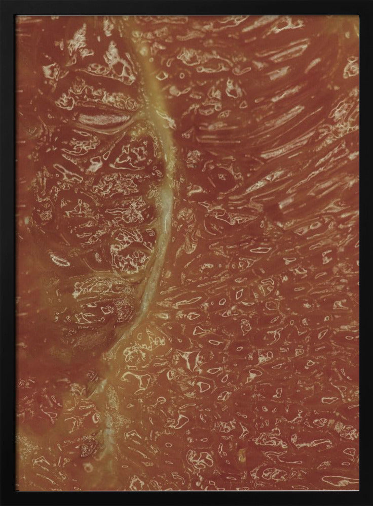 Citrusmosaik | Poster