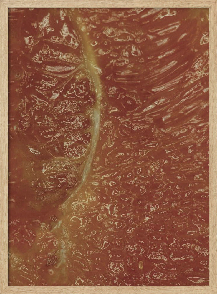 Citrusmosaik | Poster
