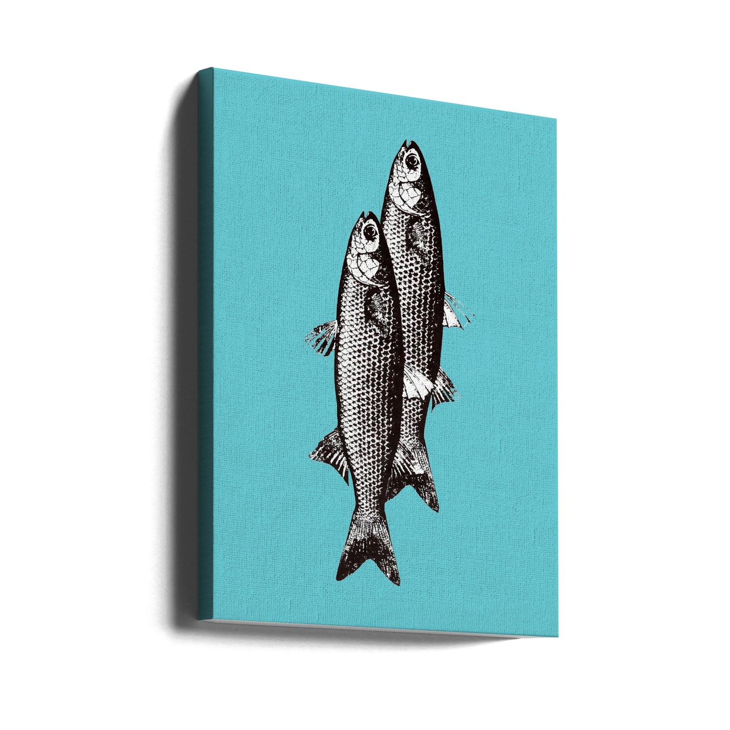 Sardiner | Canvas