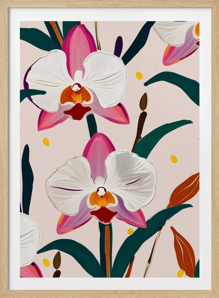Rosa orkidéer | Poster