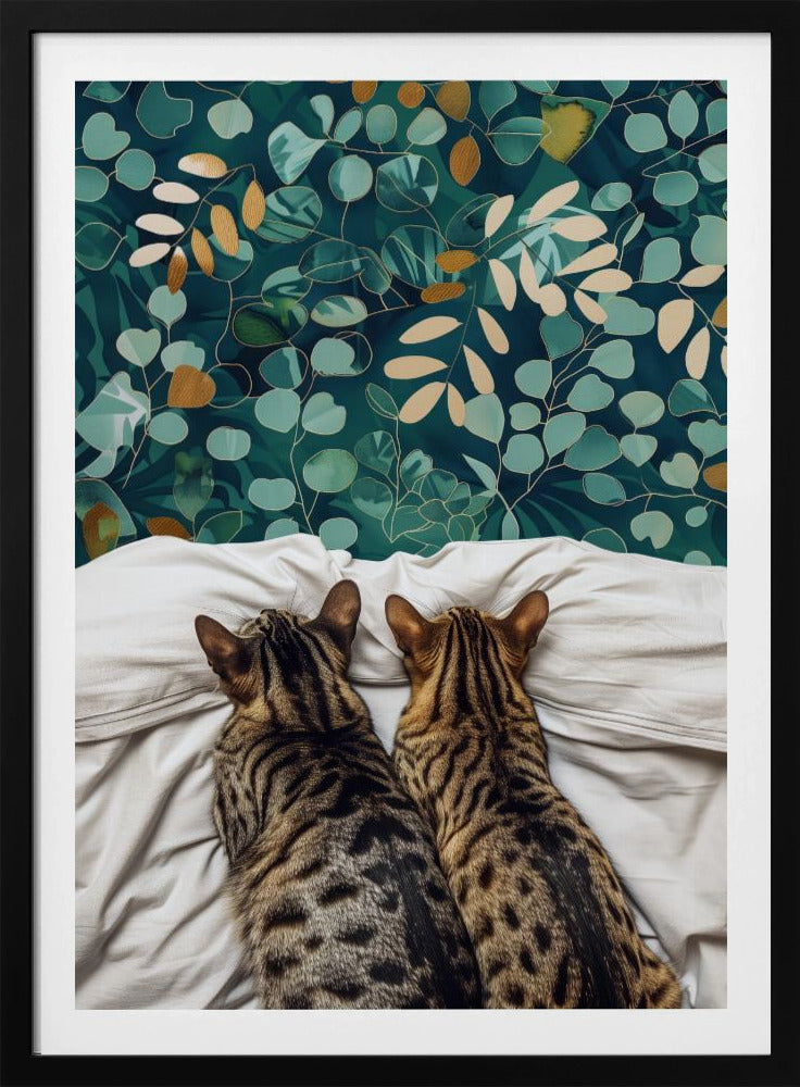 Two cats | Poster