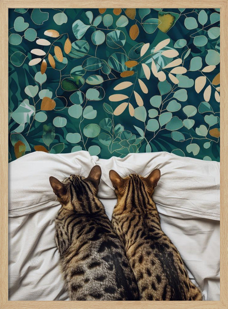 Two cats | Poster