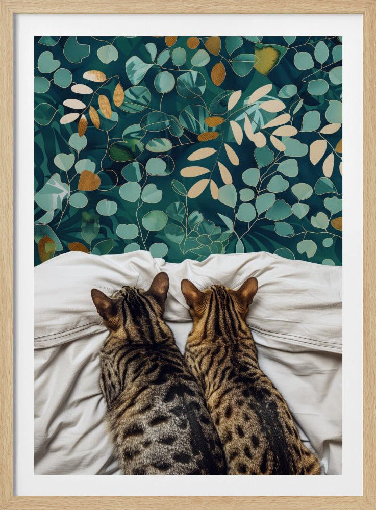 Two cats | Poster