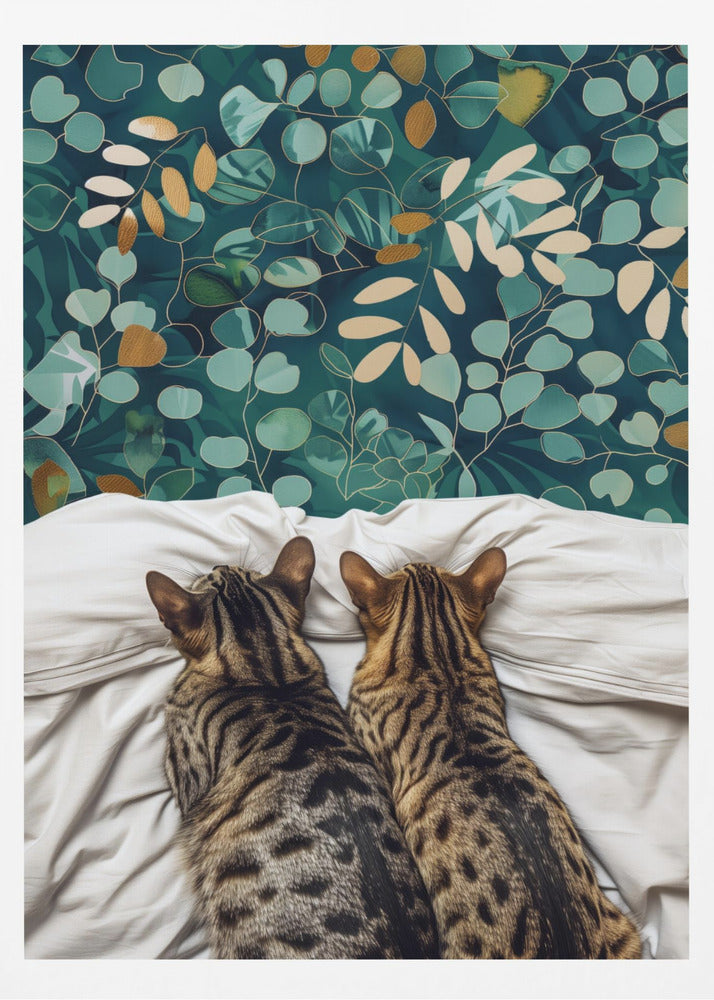 Two cats | Poster