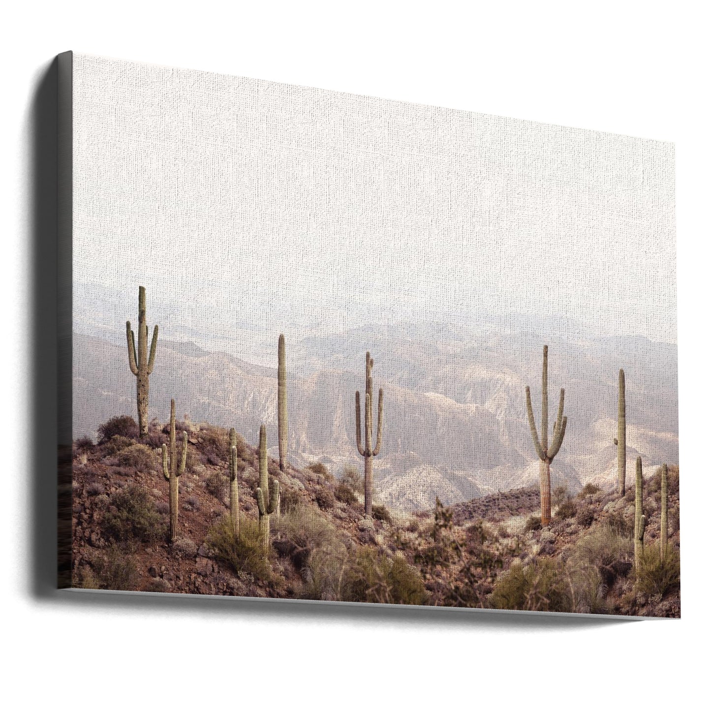 Arizona-Tal | Leinwand-Bilder
