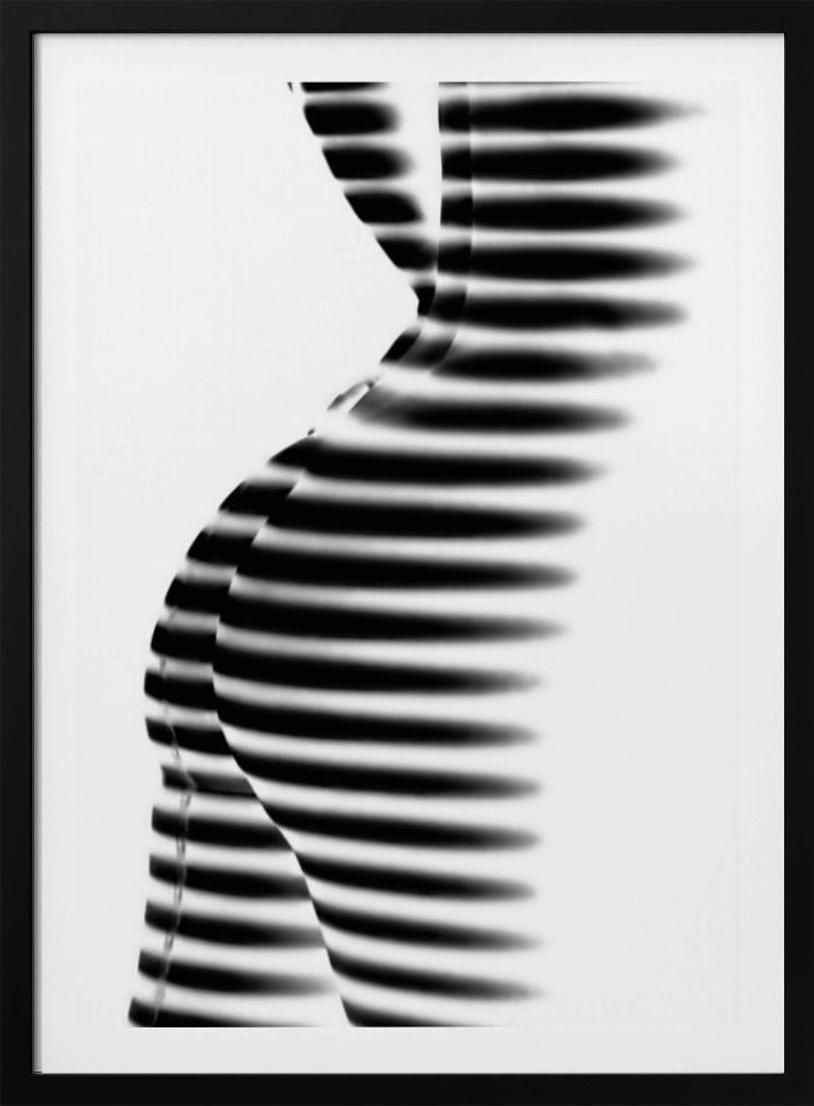 Zebra | Poster