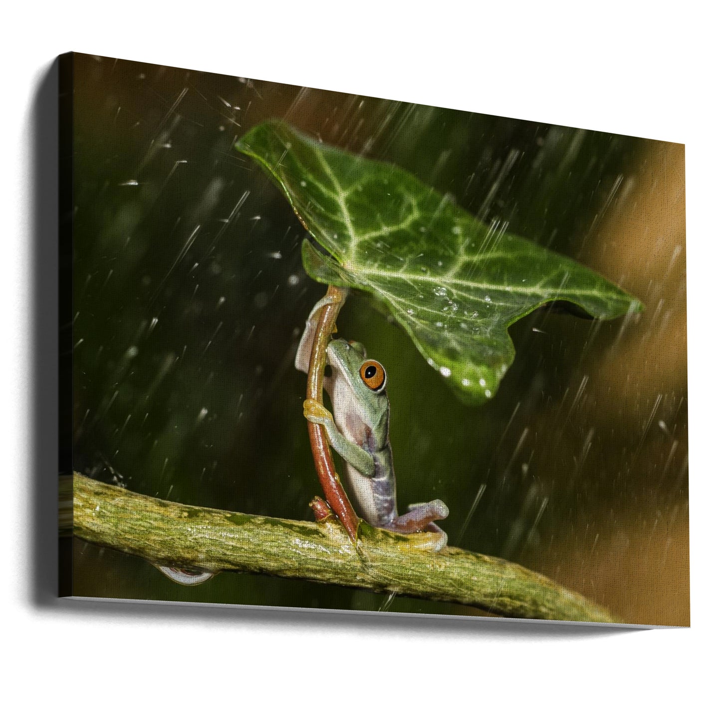 Åh nej :( Det regnar | Canvas
