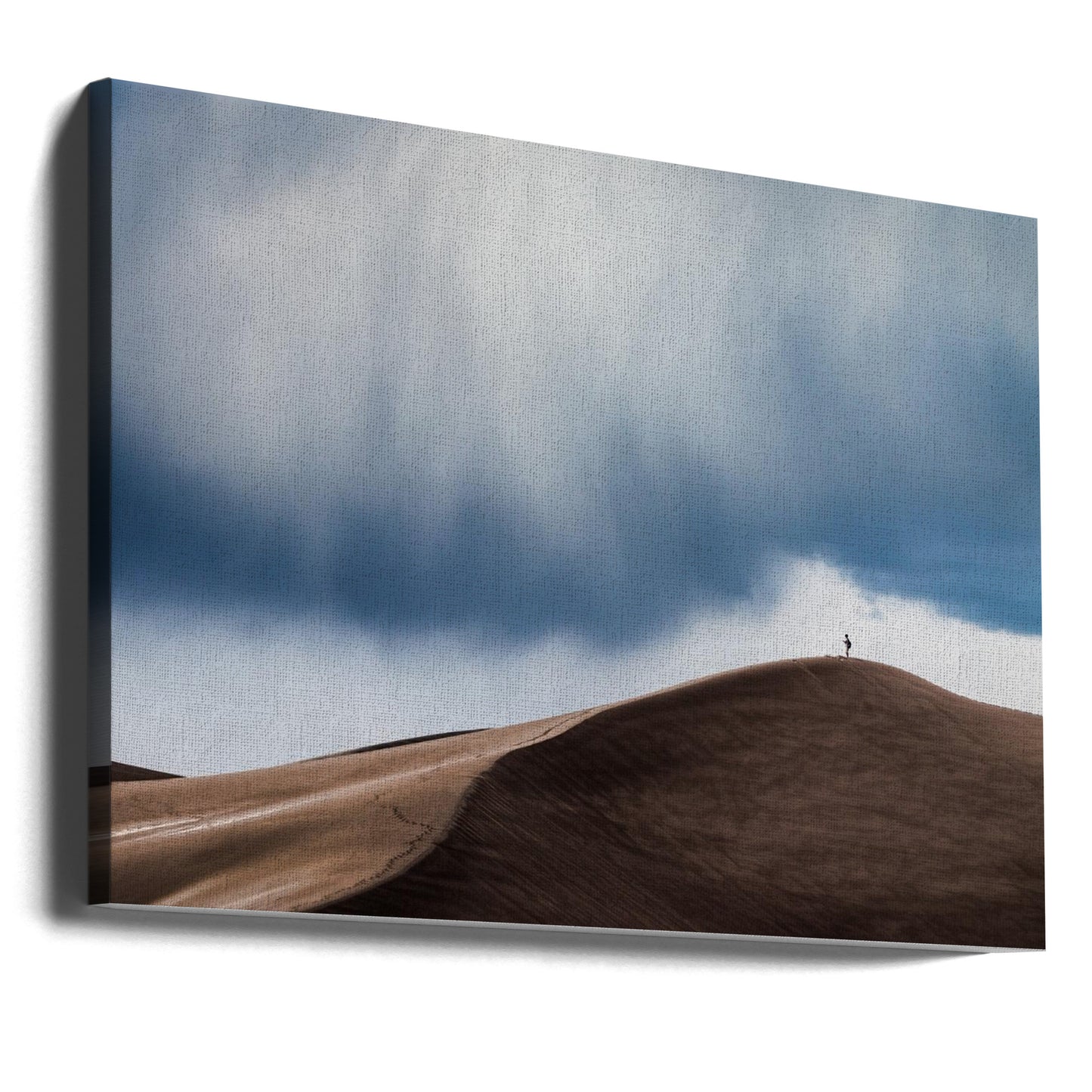 Stormjägare | Canvas