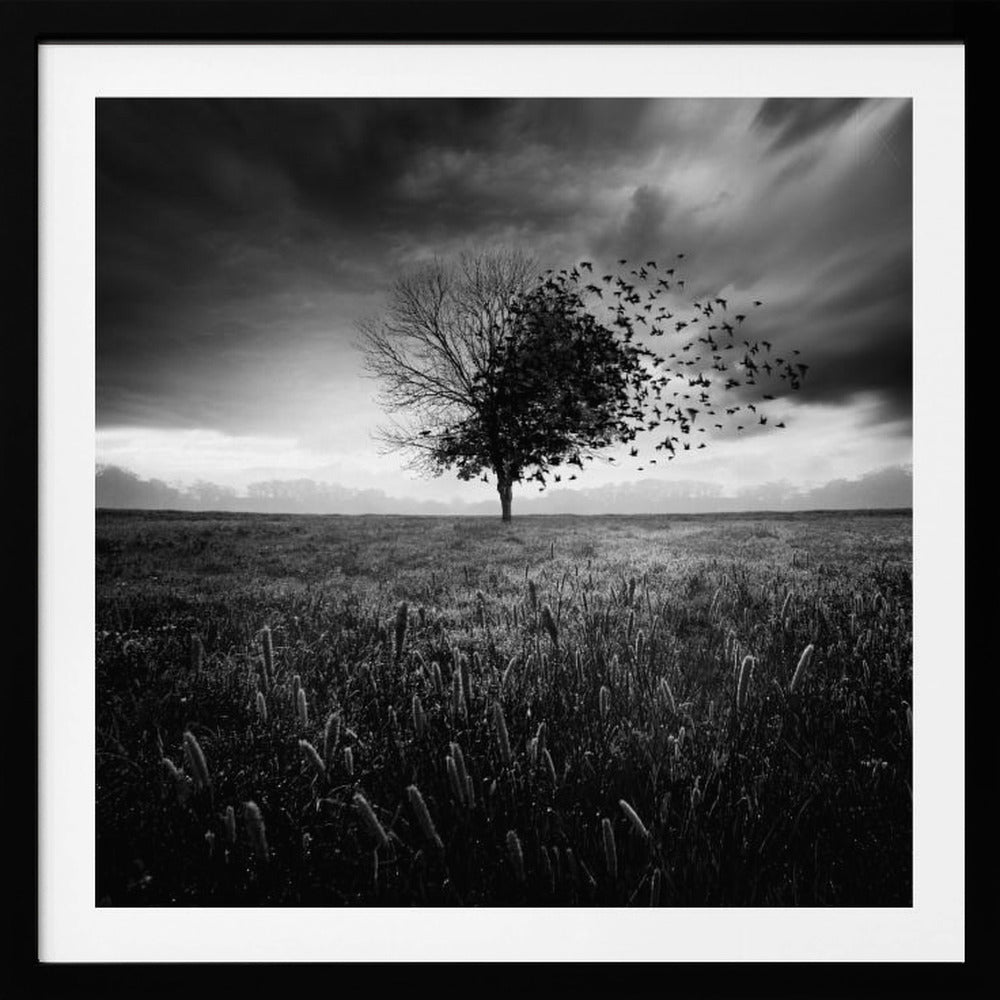 Illusion d'un printemps perdu | Affisch