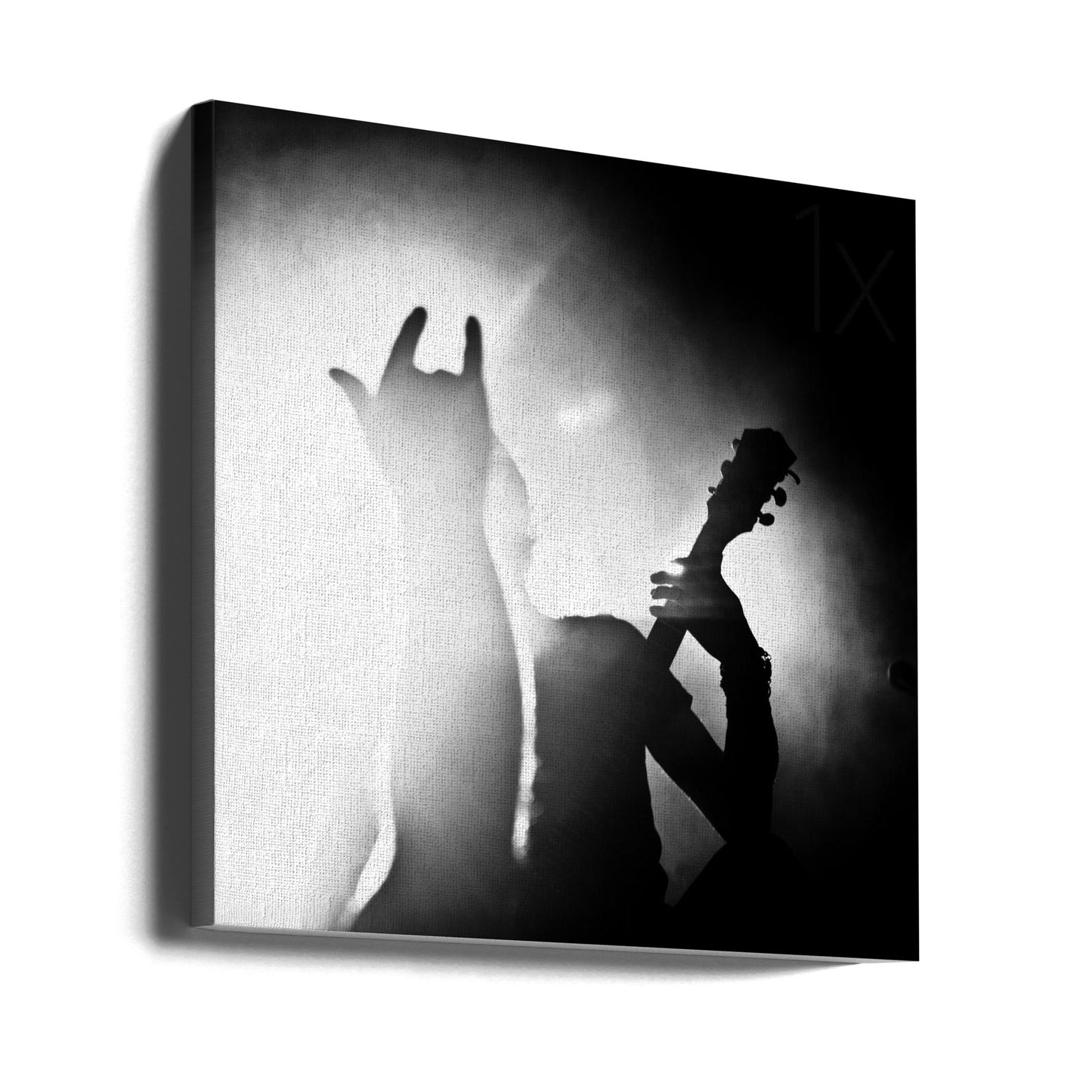 Mandragora | Canvas
