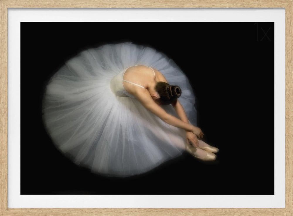 Eleganz | Poster - Kunstdruck