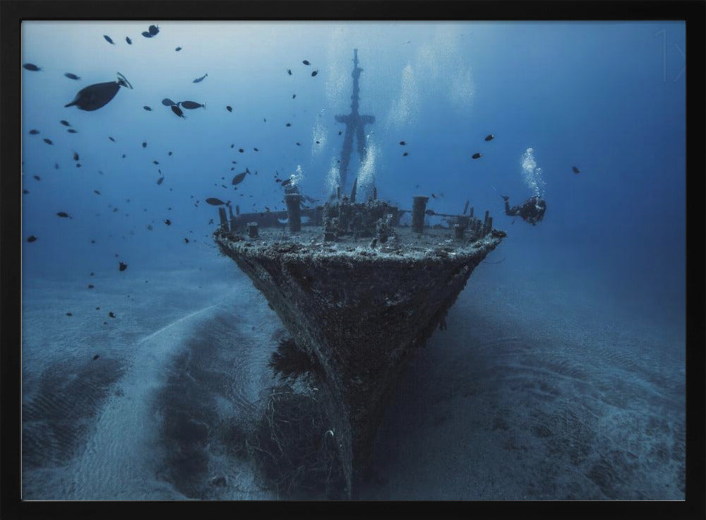 Ciao pomeriggio Wreck | Poster - Stampe d’Arte