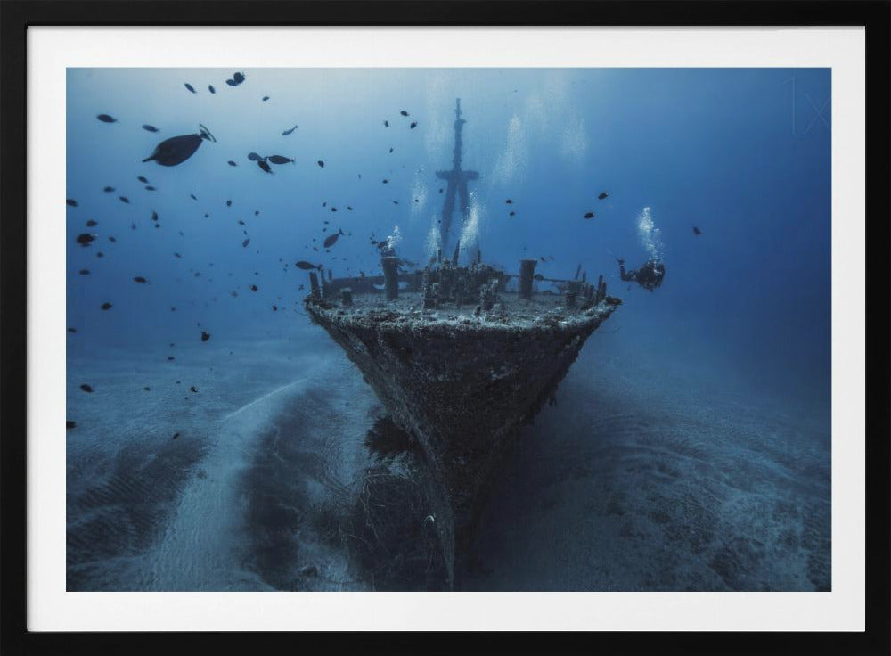 Ciao pomeriggio Wreck | Poster - Stampe d’Arte