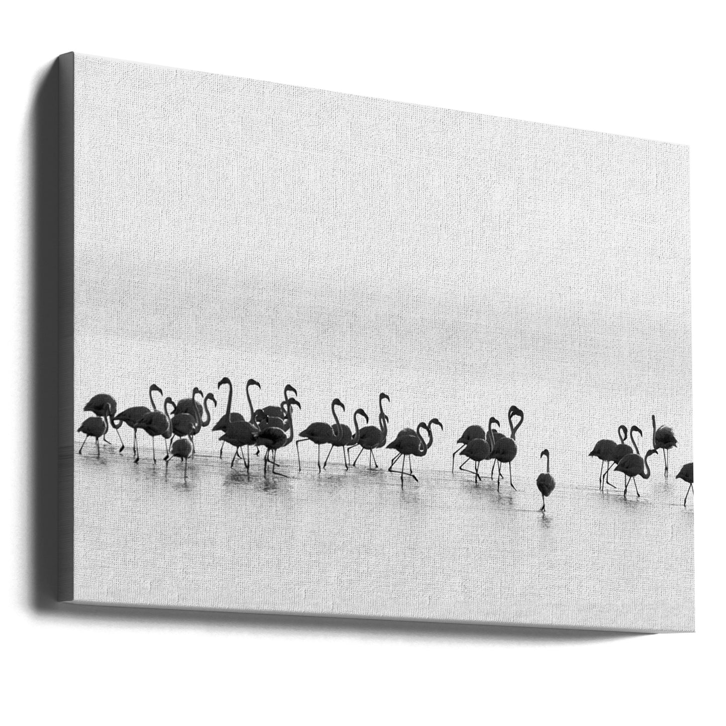 Flamingos | Canvastavla