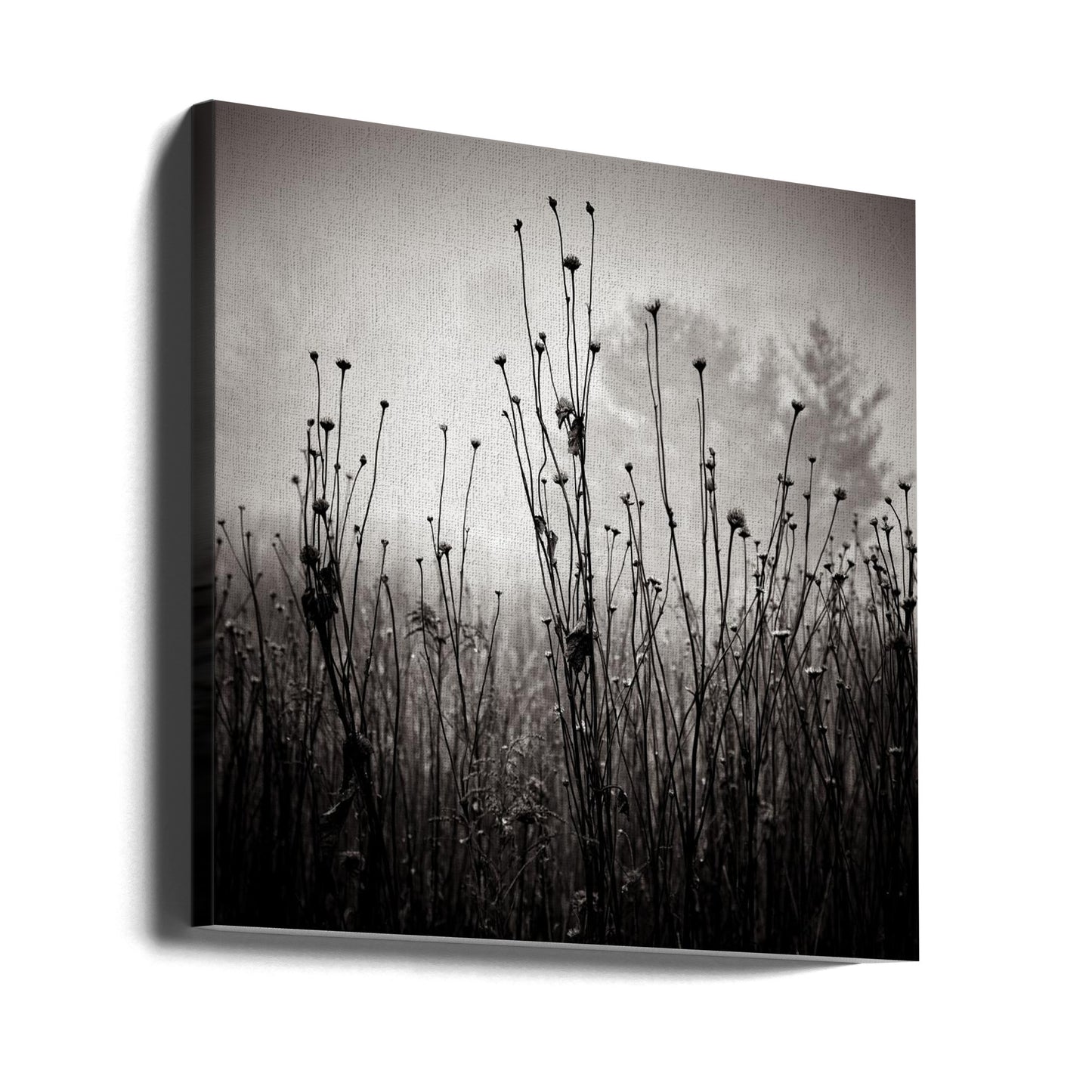 Plantes des prés 1 | Tableaux sur Toile
