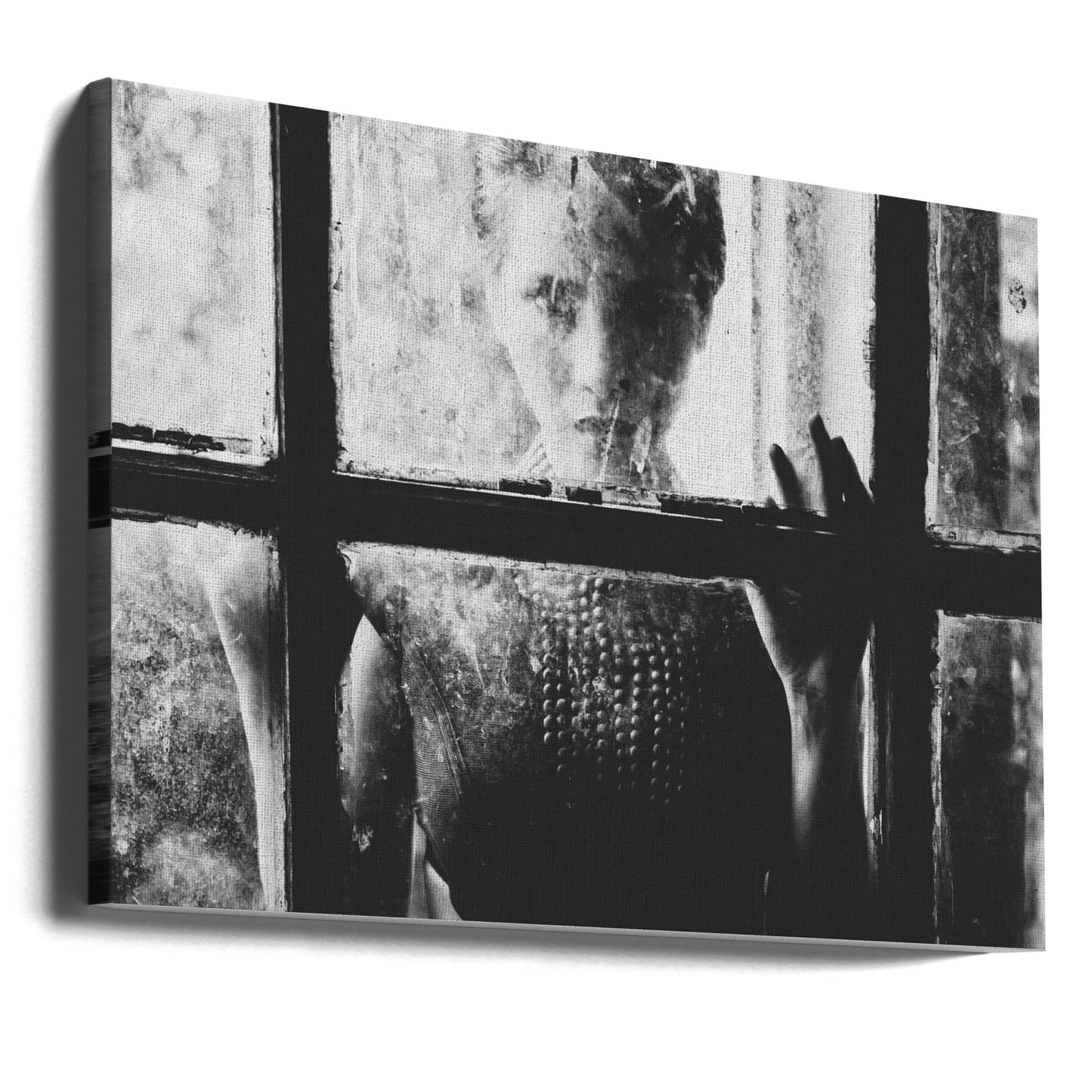 Fångad | Canvas