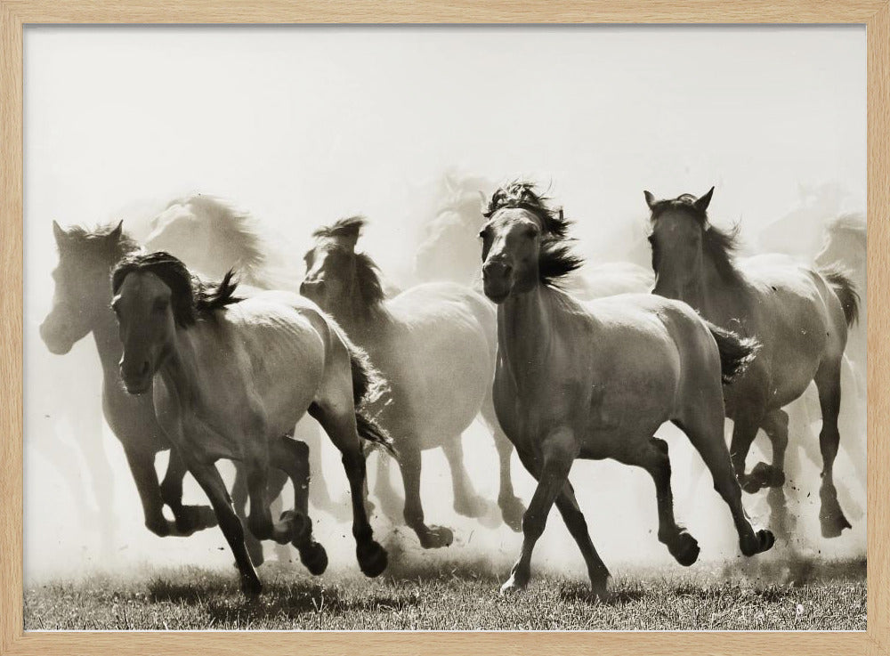 Pferd | Poster - Kunstdruck