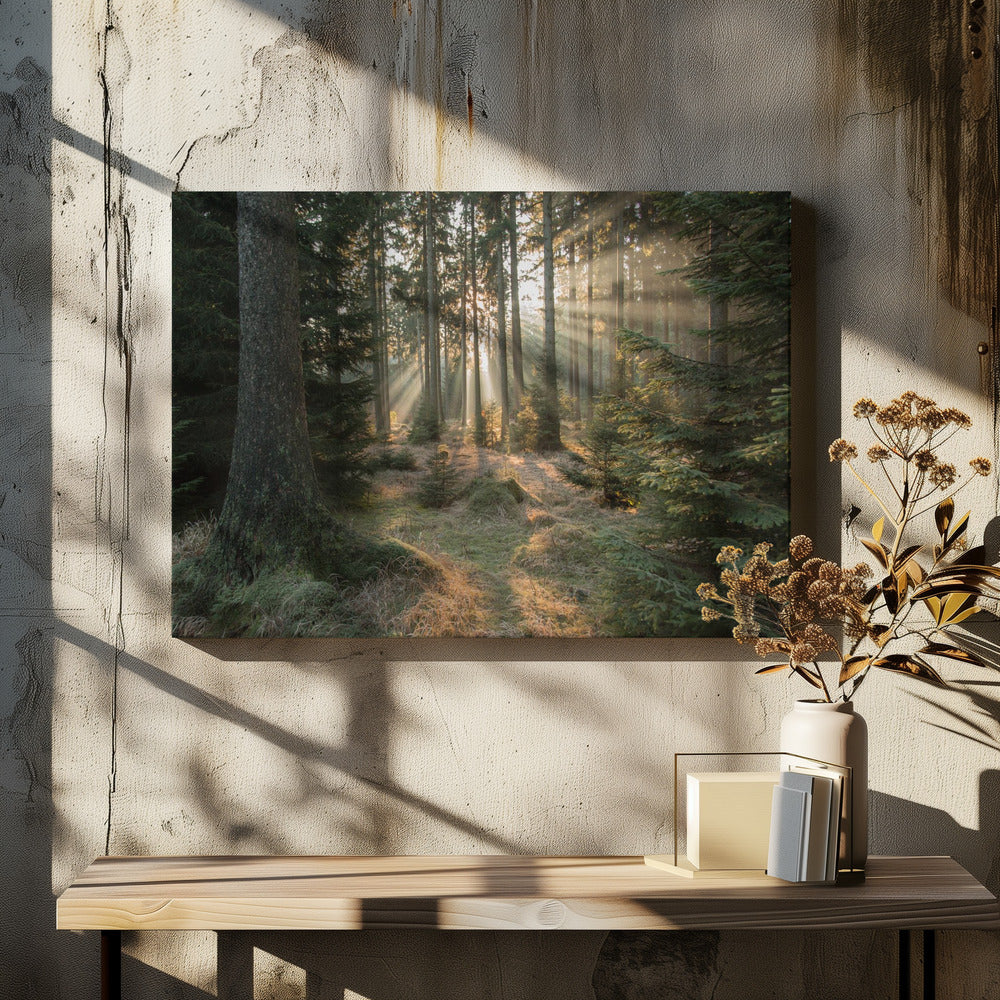 Rayons, partie 2 | Tableaux sur Toile