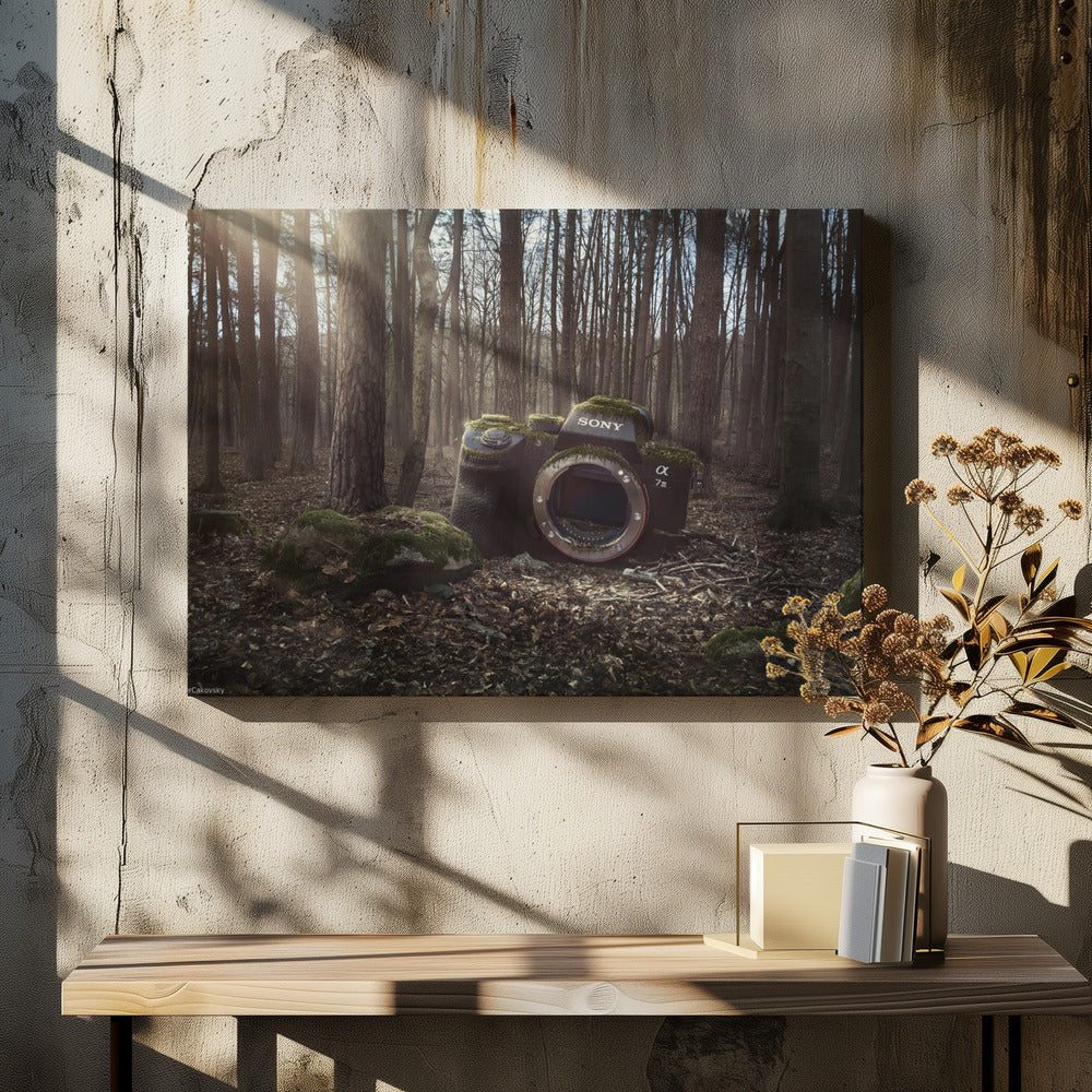 Förlorad | Canvastavla