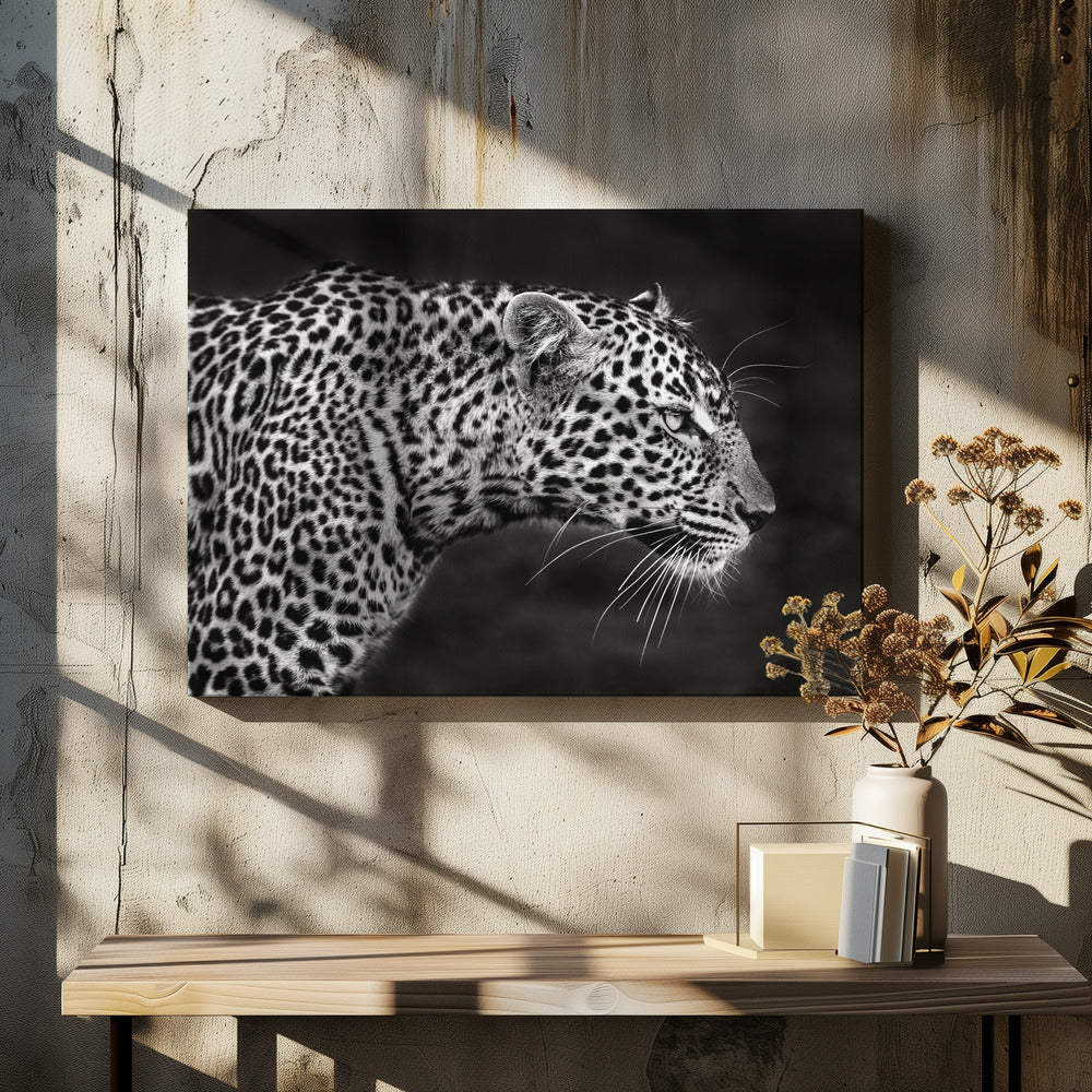 Leoparden-Nahaufnahme | Leinwand-Bilder