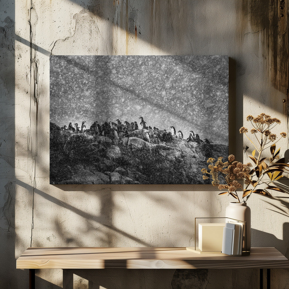 Antarctic storm | Canvas