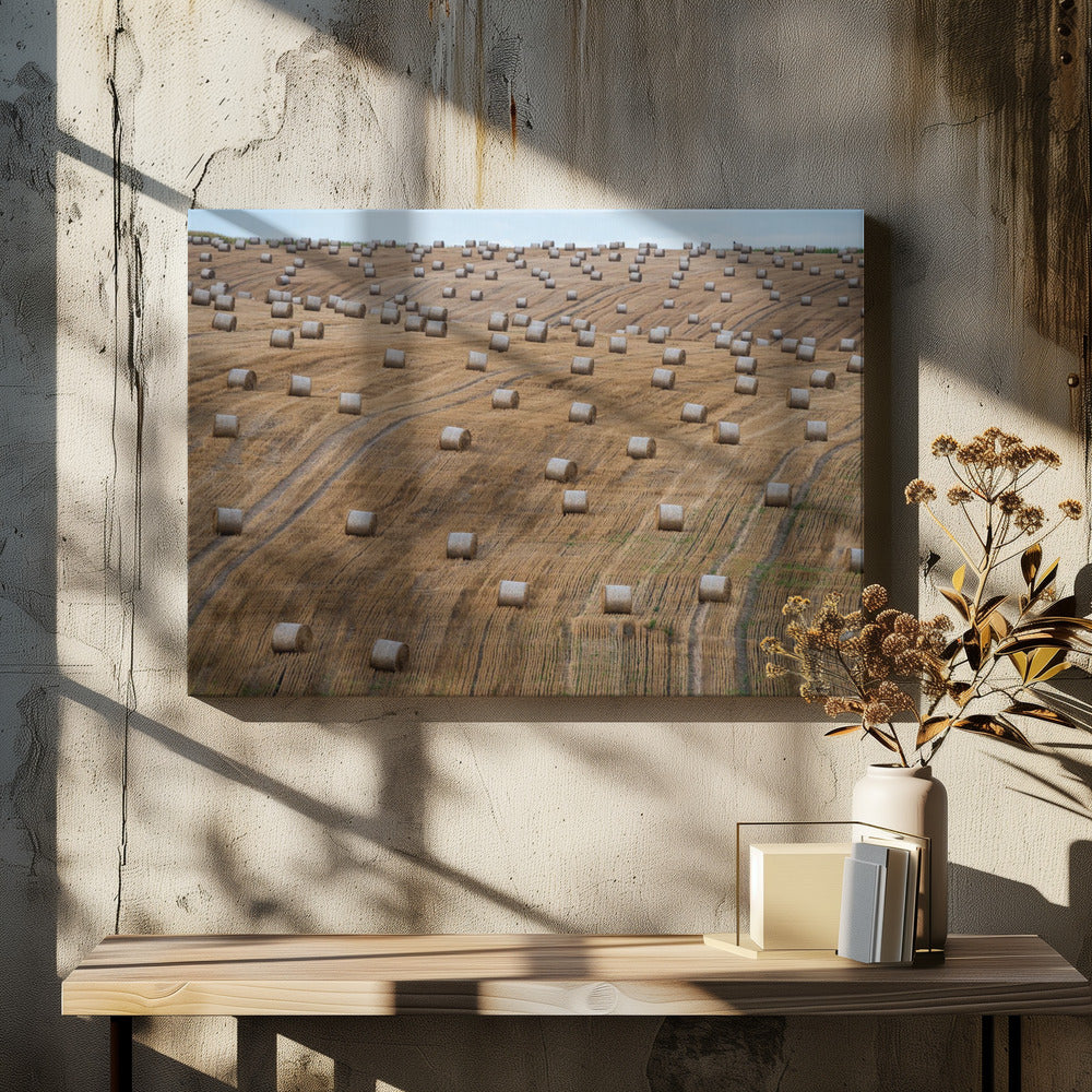 72 | Tableaux sur Toile